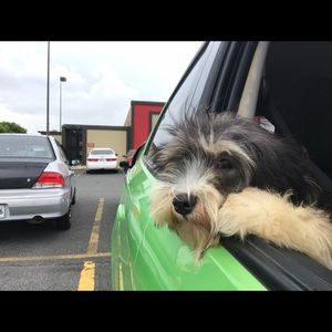 Meet your Posher, Trecy